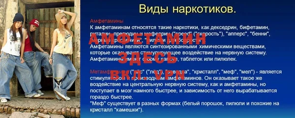 дживик Гусь-Хрустальный