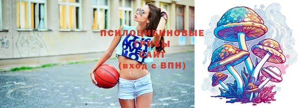 дживик Гусь-Хрустальный