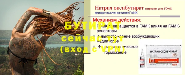 дживик Гусь-Хрустальный