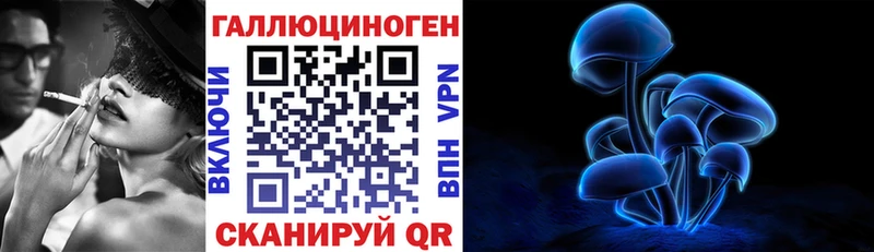 blacksprut вход  цена наркотик  Северская  Псилоцибиновые грибы Psilocybe 